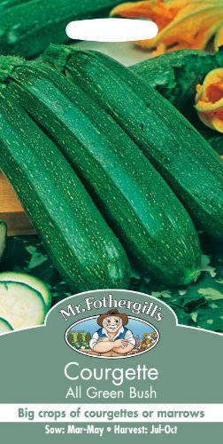 Mr Fothergills - Pictorial Packet - Vegetable - Courgette All Green Bush - 20 Seeds