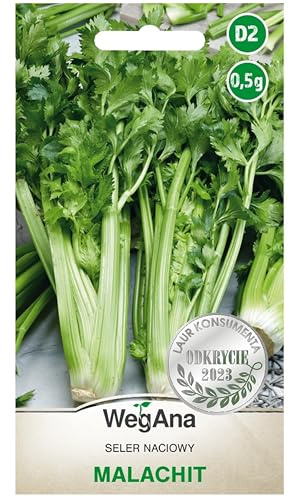 WegAna Semillas de Apio Malaquita 0,5g Semillas de Apio, Semillas de Hortalizas Robustas, Semillas de Hortalizas, Cultivo de Semillas