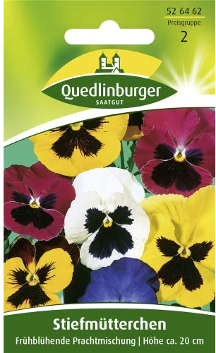 Stiefmütterchen, Frühblühende Mischung