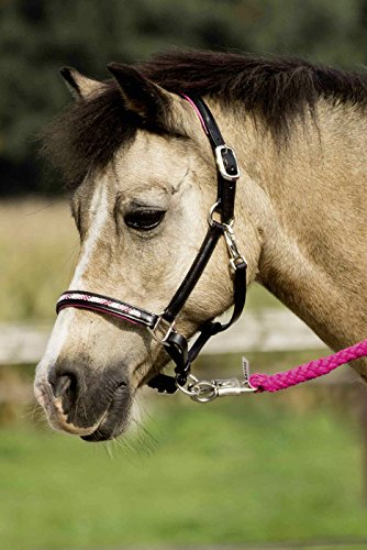 Busse Lederhalfter Nobility Minishetty schwarz/Strass-pink