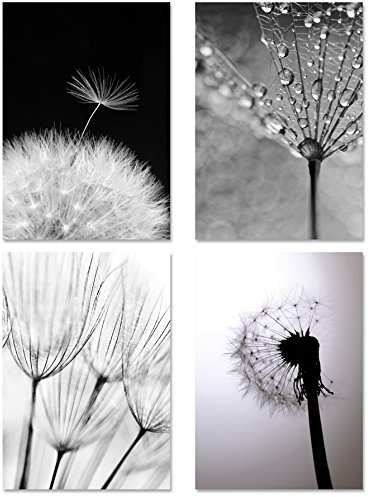 Deqosy Poster 4er-Set PUSTEBLUMEN MONOCHROM, ungerahmt DIN A4, Kunstdruck, Poster, Dekoration, Wandbild, schwarz Weiss, Makroaufnahmen