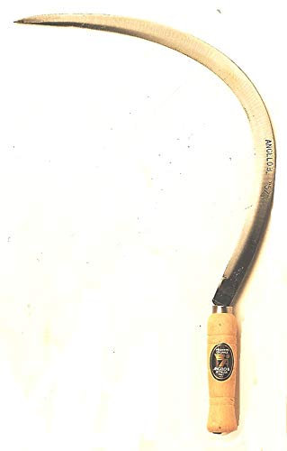 Angelo B FALCIOLA DENTATA CM 57 Art 15.18.00