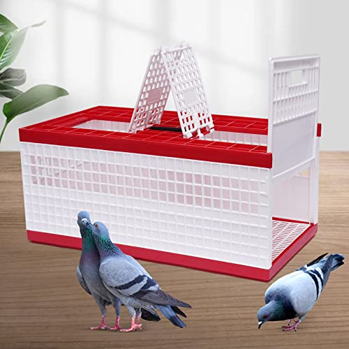 Pigeon Carrier Cage, 23.6X12.2X10.2 Plastic Training Basket with 4 Doors (2 Side + 2 Top), Red Foldable Pigeon Cage with Handle,Portable Bird Transport Box for Racing & Release