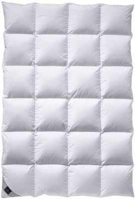 billerbeck Daunendecke | Nena | 155 x 220 cm | 100% Daunen | Optimale Wärme- und Feuchtigkeitsregulierung | Hausstauballergiker geeignet | Wärmestufe warm ++