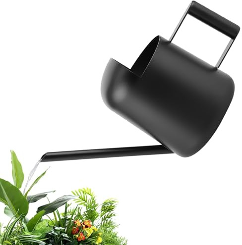 Gießkanne, 300 ml Gießkanne Klein für Zimmerpflanzen, Edelstahl Schwanenhals Gießkanne Zimmerpflanzen für Sukkulenten Garten Büro (Schwarz)