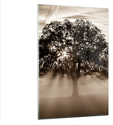 Wandbilder Dekoration Wohnzimmer Baum Feld Natur Bilder auf Glas 80x120cm Glasbild Schlafzimmer Küche Deko Wand Kunstdruck Art Groß XXL Wanddeko Bild im Glas Modern Wall Decor Glasdruck GPA80x120-3811