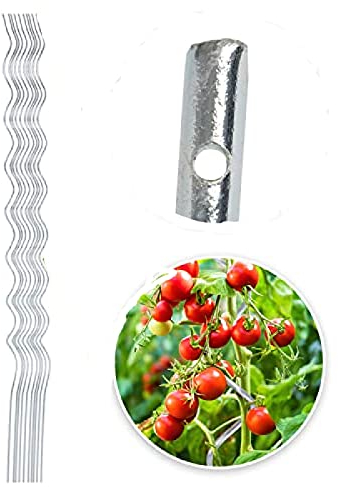 KARAT Tomatenspiralstäbe - 180 cm Länge - 10 Stück - Tomatenstab - Spiralstab - Rankstab - Tomaten Rankhilfe - Pflanzstab aus verzinktem Stahl