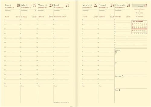 Quo Vadis - 1 Nachfüllpack für Business-Wochenkalender Prestige, broschiert – Dezember 2023 bis Dezember 2024 – Format 10 x 15 cm