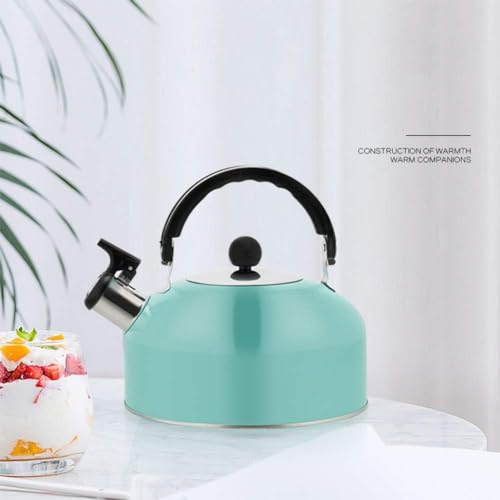 DUXDJRRE Tea Kettle Kettle Induction Whistling Tea for Cooker Gas Stove with Flute Large Silver Retro Vintage Design