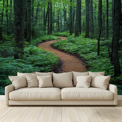 MKBKLI Carta da Parati Fotografica Sentiero nel bosco Vegetazione - Design per Pareti Camera - Fotomurale Tessuto Non Tessuto 200 x 140 cm - Colla Non Inclusa