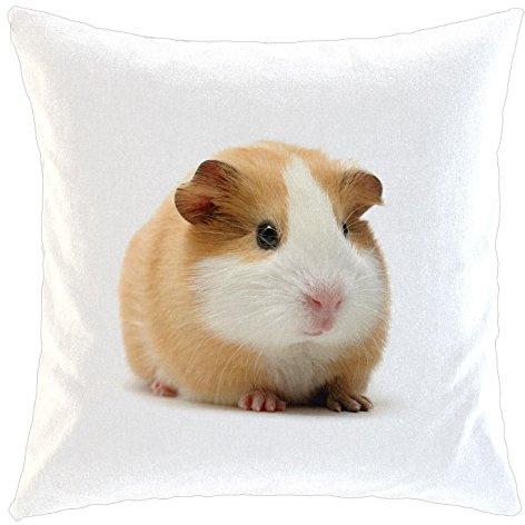 Kissen/weiches Kuschelkissen mit Füllung 40x40cm - Motiv: Meerschweinchen Porträt | 017