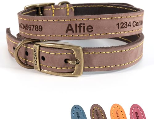 Personalisiertes Lederhalsband für Hund + optionale Leine | Lasergravur - Braun, Größe 1