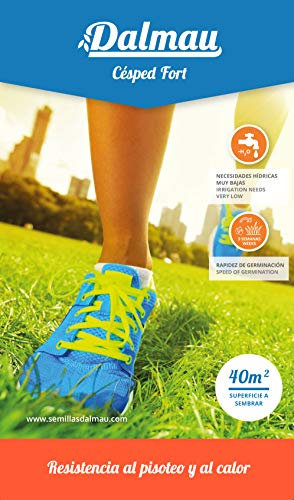 SEMILLAS DALMAU Semillas de Césped Resistentes, Mezcla Fort, Grama Fina Mejorada y Césped para Todos los Terrenos, Mantenimiento Bajo y Consumo de Agua Medio, 1kg