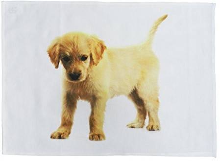 Half a Donkey Golden Retreiver Puppy, großes Baumwoll-Geschirrtuch mit klarem und klarem Bild