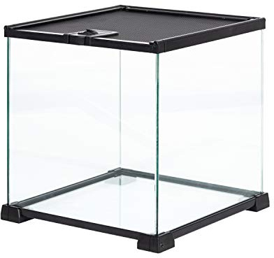 REPTIZOO Small Glass Tank 8 Gallon, Top Opening Terrarium 12 x 12 x 12 Leopard Gecko Tarantula Young Lizard Hermit Crab Frog Insects Breeding Tank