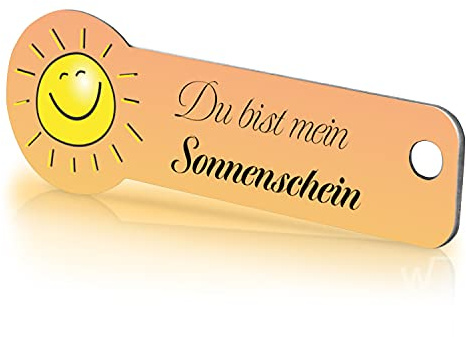 Einkaufswagenlöser Sonnenschein/Schlüsselanhänger Einkaufschip mit Schlüsselfundservice/Abziehbarer Einkaufswagenchip Metall, Chip Einkaufswagen, Key Finder / 1 Stück
