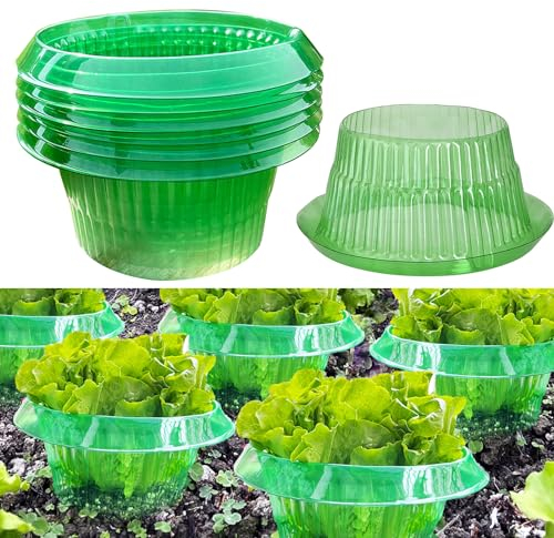 Schneckenkragen, Schneckenschutz Schneckenkorn, Schneckenkragen Schützt Pflanzen Ohne Chemie (6 STK)