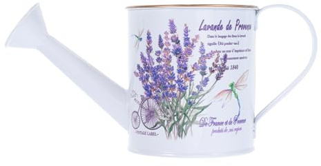 Cabilock Annaffiatoio Decorativo Zincato Per Piante Da Interno Ed Esterno Vaso Di Fiori in Latta Con Design Moderno E Motivi Vivaci