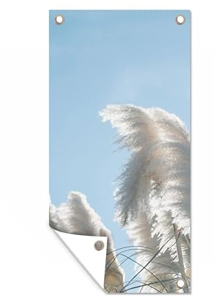 MuchoWow Poster exterieur Ciel - Herbe - Herbe de la pampa Decoration murale 80x160 cm Résistant aux intempéries/soleil