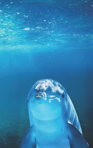 2022: Terminplaner, Terminkalender für 2022, mehr als 12 Monate, 1 Woche auf 2 Seiten, Tagesplaner, Wochenplaner, Taschenkalender 2022 für Tierliebhaber mit Motiv Delfin, Delphin, Dolphin.