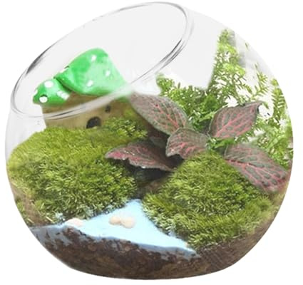 Tazón de terrario de vidrio para exhibición, contenedores redondos de 20 cm, transparente para jarrones, artesanía de borde liso, maceta decorativa para plantas de aire, mini suculentas, decoración de