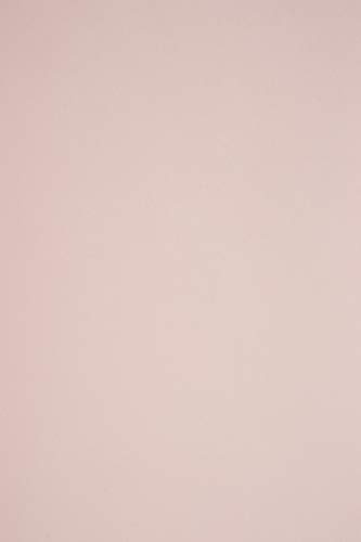 Netuno 100x Tonkarton Blass-Rosa DIN A4 210x 297 mm 210g Sirio Color Nude Bastel-Karton farbig Fotokarton A4 bunt Karton Hochzeit Taufe Weihnachten Geburtstag DIY-Karten buntes Tonpapier bedruckbar
