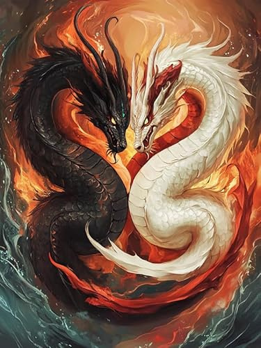 Bimkole DIY 5D Diamond Painting Kits Zubehör Schwarz-Weißer Drache, Tier Diamant Malerei Kit Voll Runde Bohrer Malen nach Zahlen Malerei Stickerei Kreuzstich Diamond Dekoration 30x40 cm