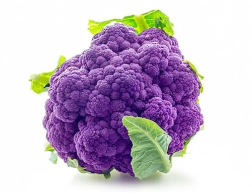 La zappa Semi di cavolfiore piante per orto e giardino (Siciliano precoce, violetto)