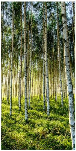 wandmotiv24 Türtapete Wald, Birken, Wiese, Bäume 100 x 200cm (B x H) - Dekorfolie selbstklebend Sticker für Türen, Türfolie, Aufkleber, M1424