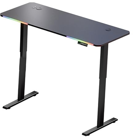 zxhrybh Scrivania Gaming Elettrica con Doppio Motore, Luci RGB, Scrivania da Gaming Regolabile in Altezza, Scrivania Pc per Casa e Ufficio(55.1in/140cm)