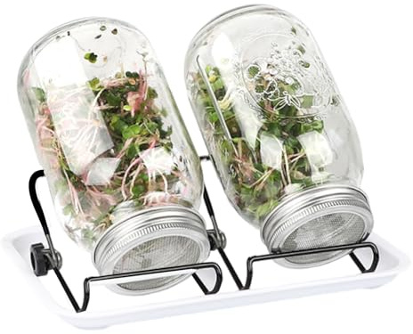 osiuujkw 2er Pack Werkzeug 1000 ml Keimglas Wachstumsset, rostfreies Filterabdeckungsnetz, Tablett, Zugang, für Zuhause und die Schule