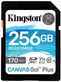 Kingston SDG3/256GB SD Speicherkarte (256GB SDXC Canvas Go Plus 170R C10 UHS-I U3 V30 )