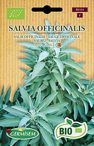Germisem Biologico Salvia Officinalis Semi di Salvia 1 g