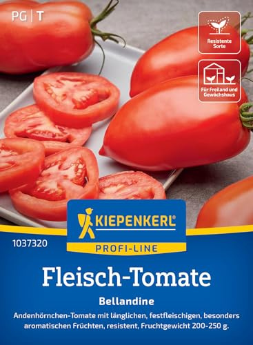 Kiepenkerl Fleisch-Tomatensamen Bellandine 1037320, Gemüsesaat | Andenhörnchen Tomate, festfleischig, aromatisch, für Freiland, Gewächshaus & Topf