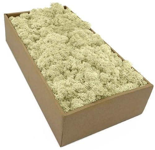 Islandmoos - Moos in 5 versch. Farben 250gr / 500 gr / 1Kg echtes konserviertes Natur Moos zum Moosbild basteln Deko und Modellbau (Naturweiß, 1 Kg)