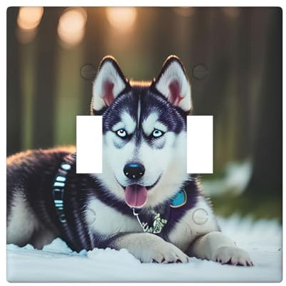 Husky Dog Print - Cubierta decorativa doble para interruptor, placa de pared, placas de interruptor para receptáculo