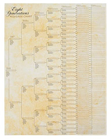 Okuna Outpost Family Tree Charts to Fill in - 8 Generation Genealogy Charts with 255 Name Spaces - Blank Family Tree Posters on Poster Paper for Framing - Pack of 15, 17 x 22 In, Off-White