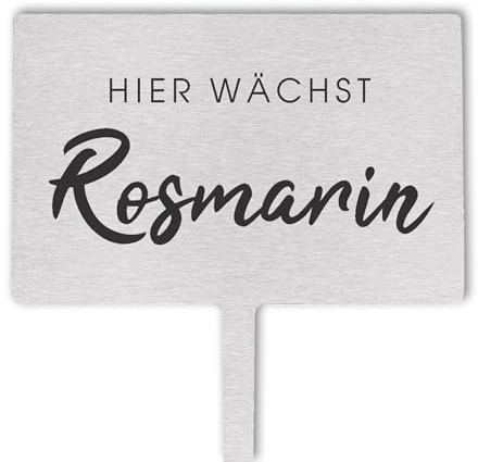 GREEN RHINO Kräuterstecker aus Edelstahl | Pflanzen-Schild Hier wächst Rosmarin | aus wetterfestem Edelstahl | made in Germany | hochwertiges und robustes Schild für den Kräutergarten | 28x10cm