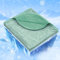 IKALIFE Kühldecke Leichte Kühlende Decke - 2 in 1 Doppelseitige Sommerdecke Q-Max>0,5 Dünne Selbstkühlende Decke Sommer Cooling Blanket zum Schlafen Kältedecke für Menschen Bett 150 x 200 cm Grün