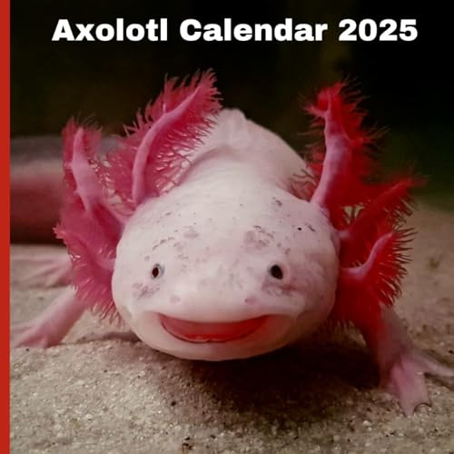Axolotl Calendar 2025