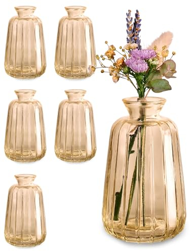 Praknu Kleine Glasvasen für Tischdeko - 6er Set - Vintage Charme - Runde Minivasen - Spülmaschinenfest - Perfekt für Hochzeit Tischdeko - Gold