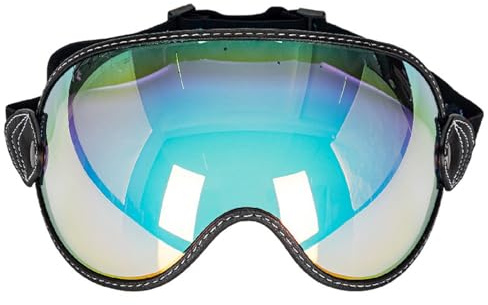 Ausla Retro -Motorrad -Windschutzbrille, Motorradbrille Dirtbike Schutzbrille Griff für Helm Anti -Sonne -Lichtbrille für Männer Frauen, 20x15x6cm (ORANGE)