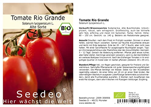 Seedeo® Tomate Rio Grande (Lycopersicum L.) 25 Samen BIO