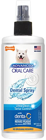 Nylabone Advanced Oral Care Dental Spray Fresh Breath 113 ml (1 Stück)