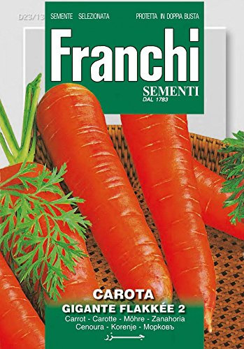 BUSTINA SEMI DI CAROTA GIGANTE FLAKKEE' N.2 ORTO GIARDINO SEMI