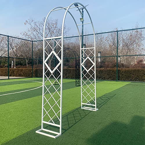 Heavy Duty Garden Arch Metal Archway Large Arches 140cm 180cm 200cm 260cm 300cm 340cm Rose Arches Trellis For Climbing Plants, Weather Resistant, Wedding Arch Decoration (Color : White, Size : 260x2