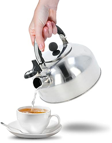 Bouilloire sifflante en acier inoxydable - 2 l - Chantant rétro - Pour tous les types de cuisinières, barbecue, camping et feu ouvert - Argenté - 2 l