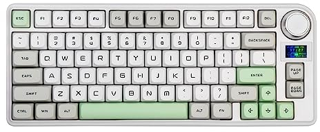 EPOMAKER TH80-X 75% Clavier Mécanique, 2.4ghz/BT/USB-C Clavier de Hot-Swap, avec Batterie 4000mAh, Écran LCD, Poron Pad, NKRO, RGB (TH80-X Gray, Wisteria Linear Switch)