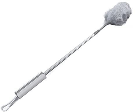 Haofy Plumeau électrique 2 en 1 avec Aspirateur et Brosse de Nettoyage, Portable Rechargeable pour Salon, Chambre, Bureau, Clavier, canapé, Cuisine