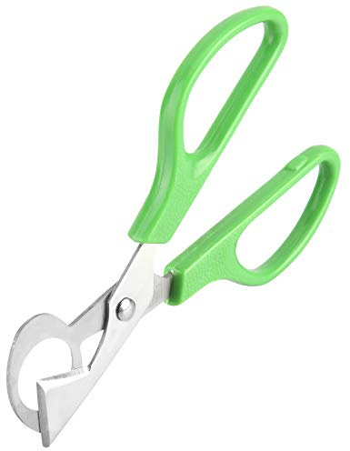 Generic Tagliauova Portatile Tagliauova Dal Design Unico per Cucinare Facilmente in Acciaio Inossidabile